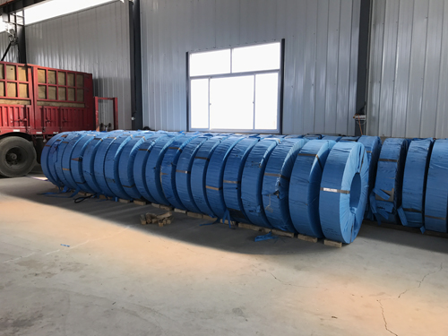 ����˹���ѳ���1